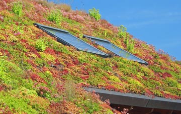 Stow Longa living roof systems